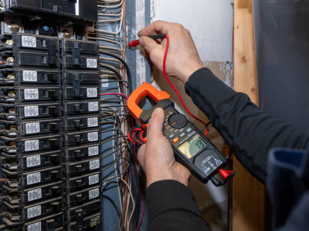 Best Ceiling Fan Installation Electrician  in Orange Park, FL